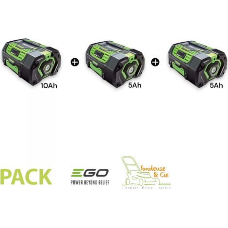 Pack 20AH de batteries Ego Power 56V PACK-20AH (1/4)