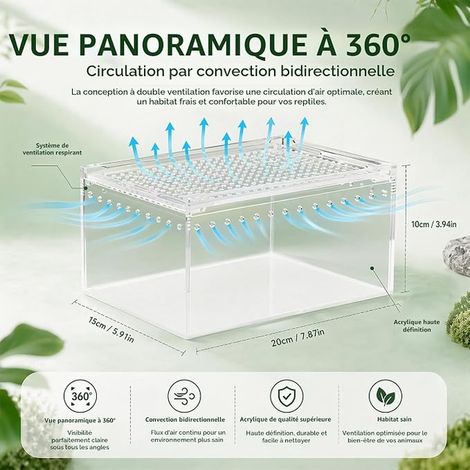 Terrarium en acrylique - Petit terrarium avec vue panoramique à 360° - Anti-évasion - Nettoyer - Pour reptiles, araignées et coléoptères (1/2)