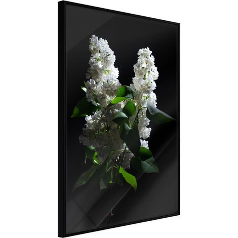Affiche Murale Encadrée "White Lilac" 21 x 30 cm Noir