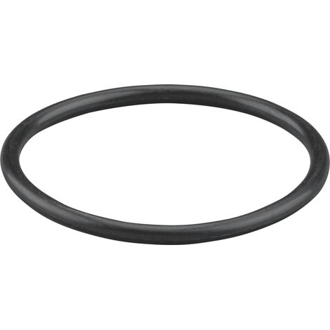 Rems O-Ring 060386