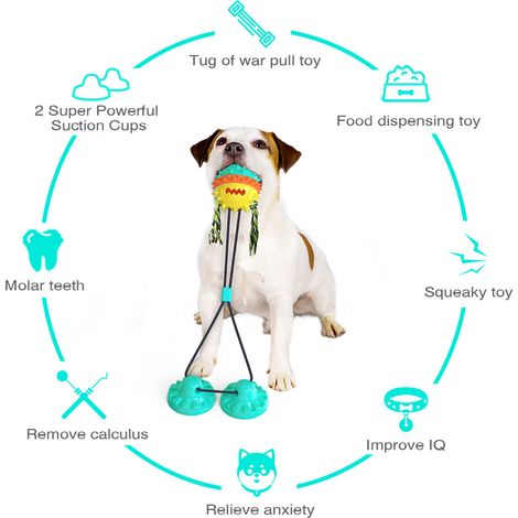 Spielzeug für Hunde mit kräftigen Kiefern – Interaktives Spielzeug für große Hunderassen – Unzerstörbares Kauspielzeug für Hunde mit kräftigen Kiefern – Saugnapf-Hundespielzeug – Zerrspielzeug für Hun (1/2)