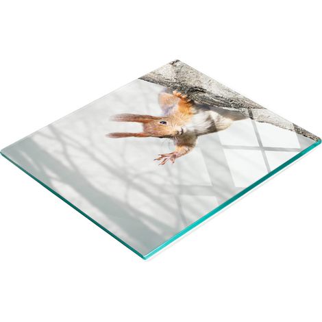 Dekoratives Küchenschneidebrett aus Glas mit Eichhörnchenmotiv, 60 x 52 cm (1/5)