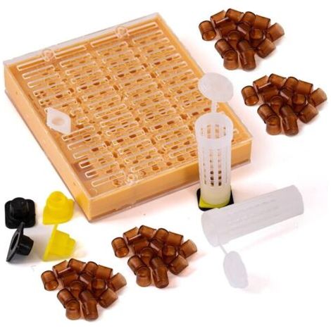 Kit elevage commplet Reines avec système Nicot pour Apiculture Outils d'élevage Reine des Abeilles (1/5)