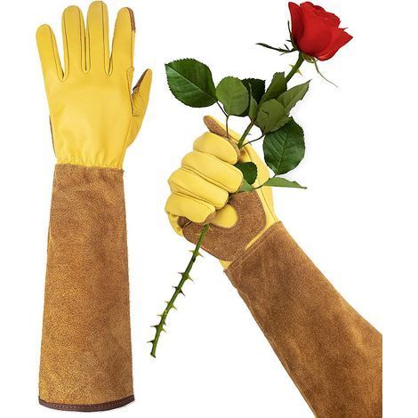 Gants de jardinage longs Kryc-woheer pour femmes, résistants aux épines, en cuir de vachette, pour la taille des rosiers, cactus, rosiers et mûriers - Marron - Moyen (1/3)