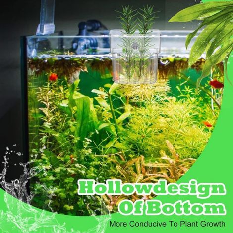 8 supports transparents en acrylique pour aquarium, avec crochets, décorations pour aquarium, paniers suspendus pour plantes (1/5)