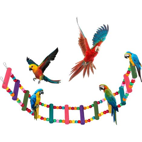 12 Pont en bois, échelle flexible, perles rondes, fil acier inoxydable, cage oiseaux, perroquets