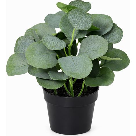Eucalyptus Artificiel Plante Verte Décorative pour Décoration Intérieure Maison Vert 21 cm - PANGIVO