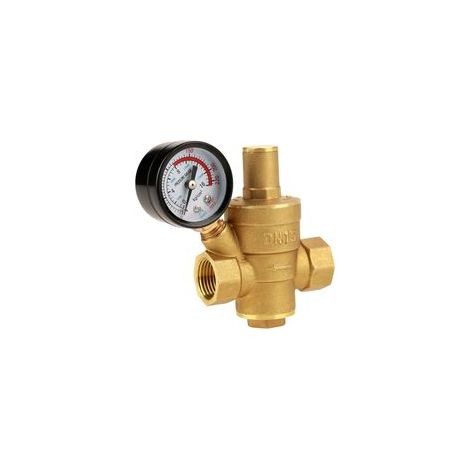 DN15 réducteur de pression d'Eau, Régulateur de pression Eau en laiton réglable avec Manomètre Applicable à La Maison, Le Bâtiment, L'usine (1/5)