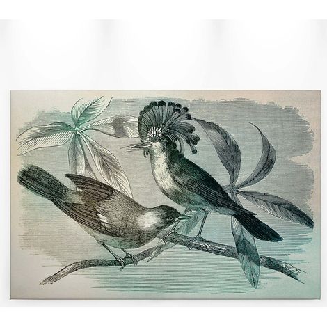 Tableau oiseaux sur une branche | Tableau animaux vert turquoise & gris pour cuisine | Tableau sur toile idéal chambre adulte & salon 0,9 x 0,6 m (1/5)