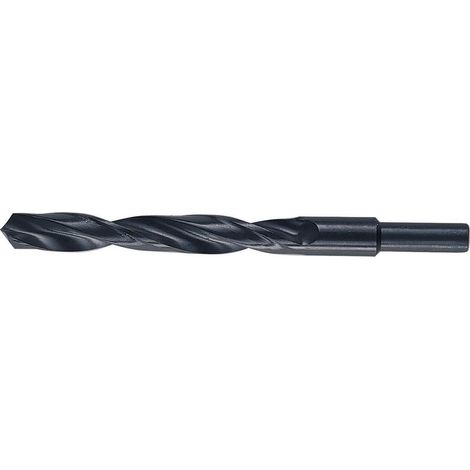 PUNTE HSS CODOLO MM.13-GR. 14. Prezzo per 1 pezzo. (1/2)