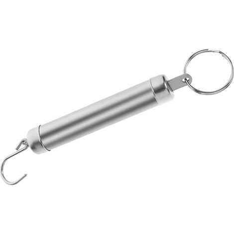 Peson MéCanique Mini Balance À Crochet Pour Bagages ÉChelle De Poids Portable Avec PoignéE Anneau 15.50 Cm Argent Pour Voyage Cuisine Et PêChe (1/5)