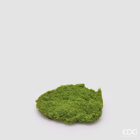 EDG Enzo De Gasperi Muschio Zolla Artificiale H 5 Cm D 20 Cm Verde