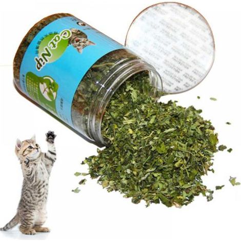 Catnip - Organic Dried Catnip - For Cats Indoor Play And Relaxation - 10g 20g 30g (1/5)