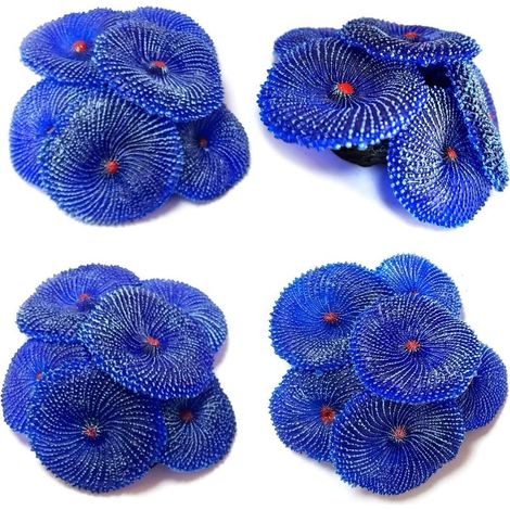 Coral artificial, 4 piezas, coral sintético, decoración para acuarios, corales para decoración de acuarios (azul coral) (1/4)