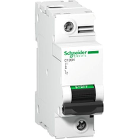 Interruptor automático MINIATUR SCHNEIDER 100A 1P 380-415V C120H