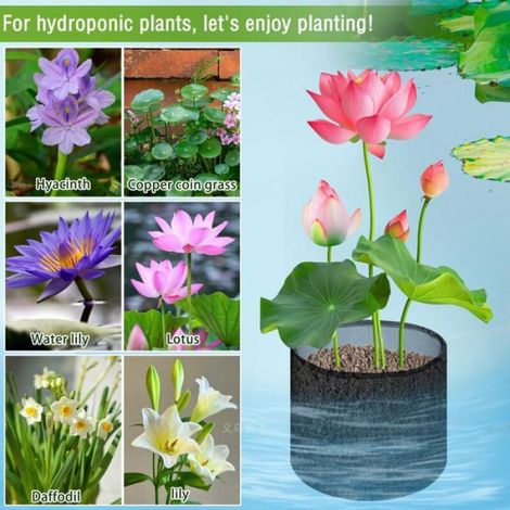 Lot 4 Paniers Plantes Étang Flottants, Sacs Hydroponiques Jardin Aquatique, Pour Bassin Koi (1/5)