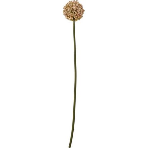Allium (Single Stem Flower) - Plastic - L11 x W11 x H75 cm - Pink