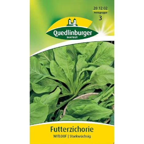 Quedlinburger Blattzichorien für Futterzwecke - Futtersamen (1/2)