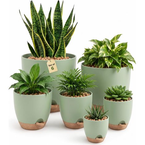 Lot de 6 pots de fleurs auto-irriguants Vert 12,7 cm 14 cm 15,2 cm 16,5 cm 17,8 cm 20,3 cm Pot pour plantes d'intérieur seuil (1/5)