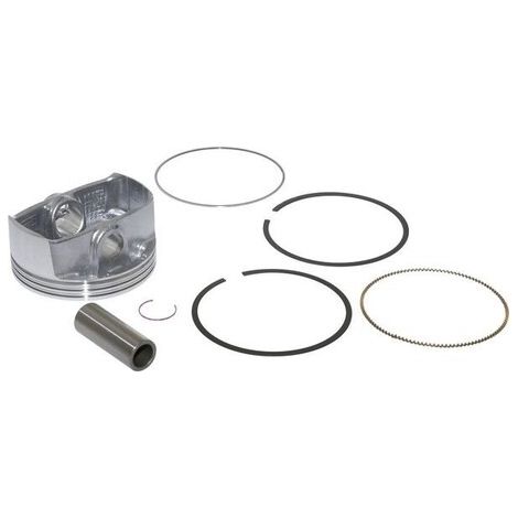 Pistone completo Briggs et Stratton 795858