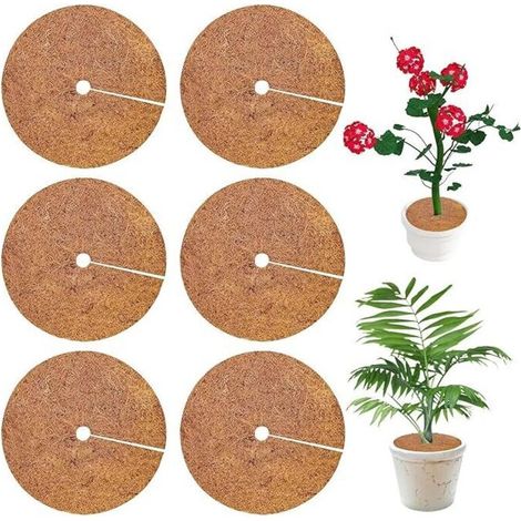 Lot von 6 Tapis De Coco Plantes, Disque de Paillage Protection Plante, Disque De Paillage Coco, Tapis De Coco Protection Hivernale De Plantes, Pour Plantes En Pot Dans Le Jardin Contre Le Froid (1/4)
