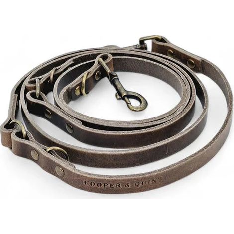 Laisse pour chien réglable multi-position en cuir pleine fleur coloris Stone 220 cm - PANGIVO