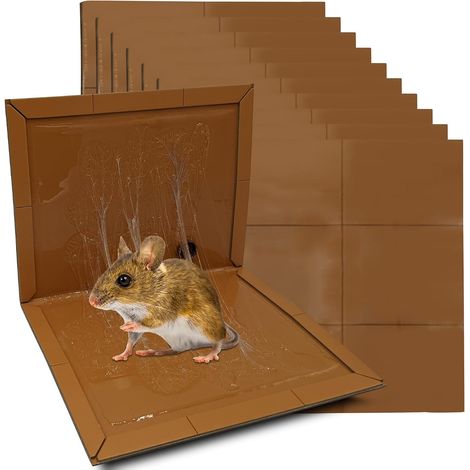 Pieges a Colle Souris Rat Glue, Deratisation Attrape Souris Professionnel, Alternative Raticide Souricide Tapette, Anti Rongeurs sans Poison, Glu Extra Forte Aromatisee(10 Plaques Collantes) (1/5)
