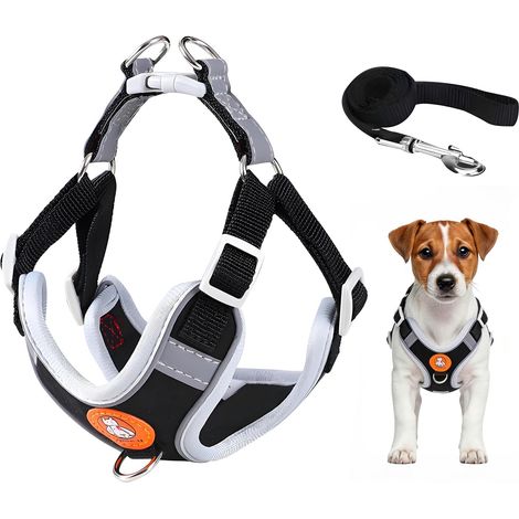 Harnais pour chien et chat réglable avec laisse, ensemble de promenade confortable, respirant et réfléchissant pour petits animaux, sécurité et maintien ergonomique