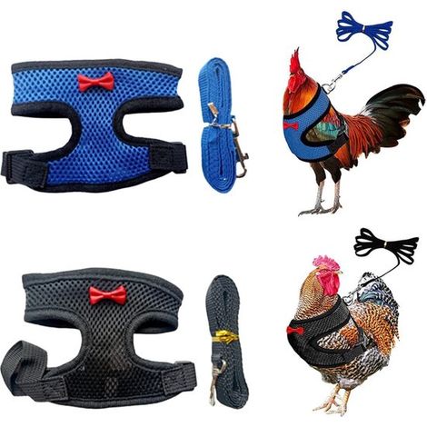 2 arneses ajustables para gallinas con correa, chaleco cómodo para gallinas y correa de entrenamiento de malla transpirable para mascotas (1/5)