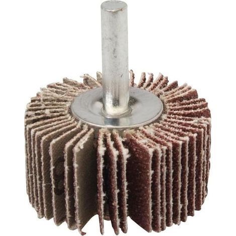 Meule abrasive de 40 mm, grain 80 (1/3)