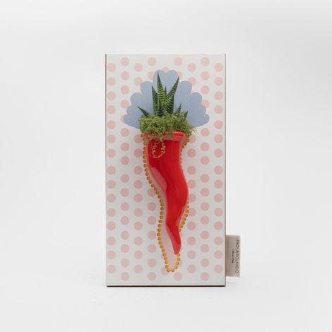 Succulenta vera in cornetto ceramico regalo bomboniera Cornetto Pois - Rosa