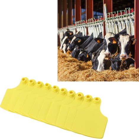 Lot de 100 boucles d'oreilles vierges en plastique pour le marquage des bovins et des vaches. Accessoires pour la ferme. (1/5)