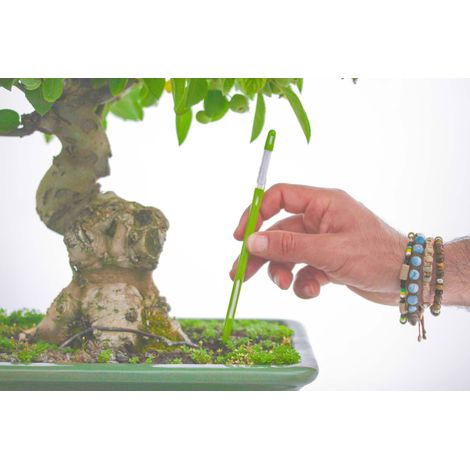 Misuratore di umidità per bonsai e piante - asta 18cm (1/5)