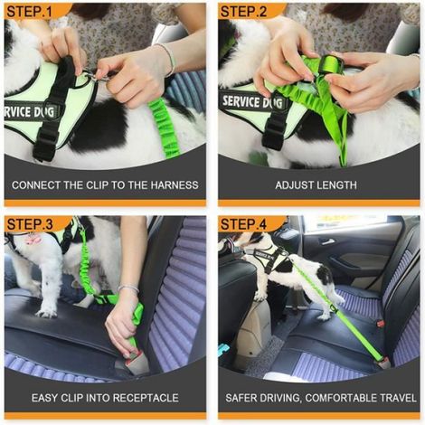 Ceinture de sécurité pour chien - Rétractable - Élastique - Vert - Compatible toutes voitures (1/4)