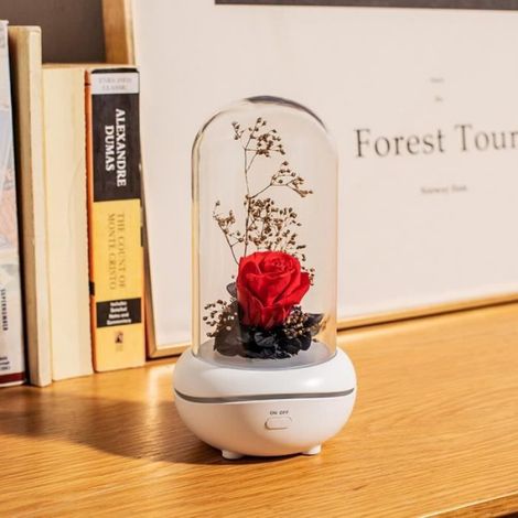 La couleur rouge Diffuseur de Fleur d'Aromathérapie Sans Fil, rechargeable, Diffuseur d'Huile Essentielle, V (1/4)