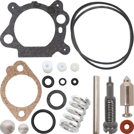 KIT JOINT DE CARBURATEUR MEMBRANES POUR BRIGGS&STRATTON QUANTUM 493762 498260 492495 (1/3)