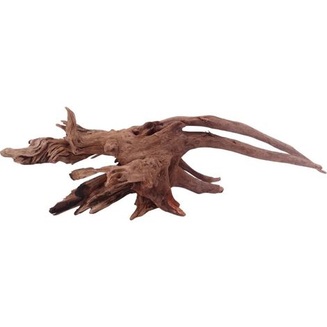 XL Driftwood Flußwurzel Nr.4940 Holz Deko Aquascaping