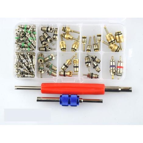 Noyau de valve tige de soupape réparable pour climatisation automobile R134A outil d’extraction fourni compatible système climatisation véhicule standard (1/5)