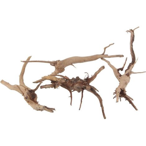 Bois flotté naturel pour aquarium et terrarium décoration racine d'arbre pour poissons et reptiles lot de branches