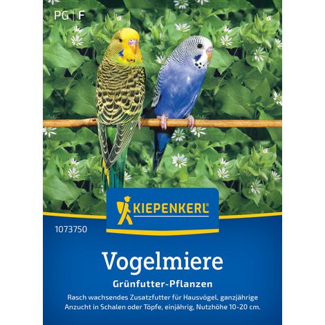 Kiepenkerl Rasensamen Vogelmiere Frischgrün-Futter für ca. 1 m² (1/2)