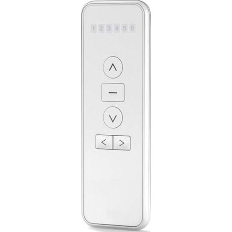 Télécommande Sans Fil 6 Canaux RF 433,92 MHz pour Stores Électriques – Compatible avec Moteurs Somfy et Autres Marques (1/5)