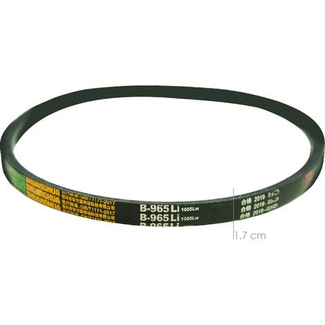 Courroie BS1600 et BS2300 BS2700