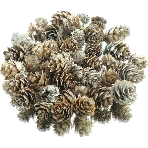 Weihnachtsdeko Mini-Zapfen Natur beschneit- 48 g