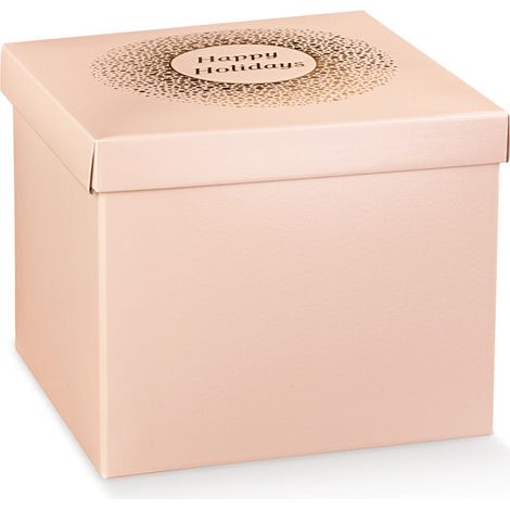 Scotton Scatola con Coperchio 300 x 300 x 240 Mm Spot Cipria