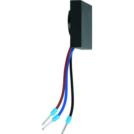 Botón electrónico WC