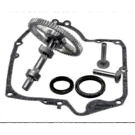 Kit de remplacement d'arbre à cames Briggs & Stratton 793880 793583 792681 791942 795102 avec joint d'huile 795387 et joints de vilebrequin 697110 - Jxlgv-- (1/4)