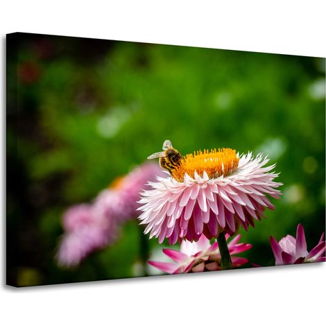 Lienzo impreso Abeja sobre una margarita 90x60 cm
