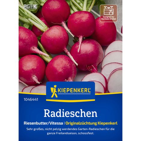 Kiepenkerl Saatgut Radieschen Riesenbutter/Vitessa für ca. 1 – 1,8 m² (1/2)