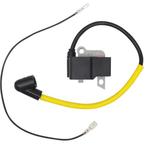 Pièce n° 537418701 : Module de bobine d'allumage pour Husqvarna 223L, 223R, 323R, 323L, 323RJ, 325 RJ, 325 RJX, 326 RJX  référence : 537042301