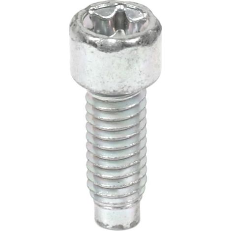 Vite BRIGGS ET STRATTON 698941 690363